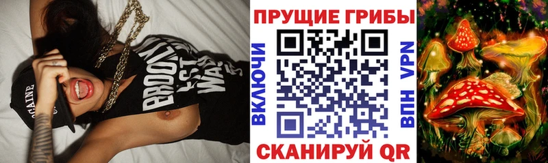Галлюциногенные грибы Psilocybe  дарнет шоп  Валдай 